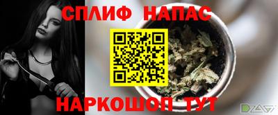 гашик Гусев