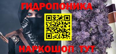 гашик Гусев