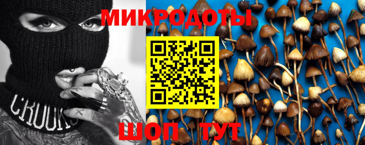 Кунгур  Галлюциногенные грибы Cubensis  Галлюциногенные грибы GOLDEN TEACHER  где можно купить наркотик  Вход с VPN 