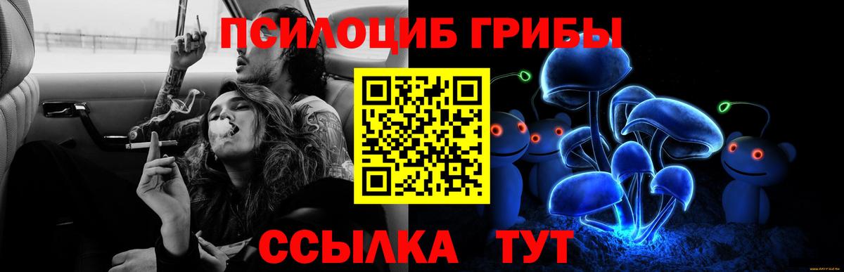 Галлюциногенные грибы ЛСД Кунгур